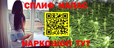 ALPHA PVP Гай