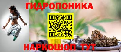 ALPHA PVP Гай