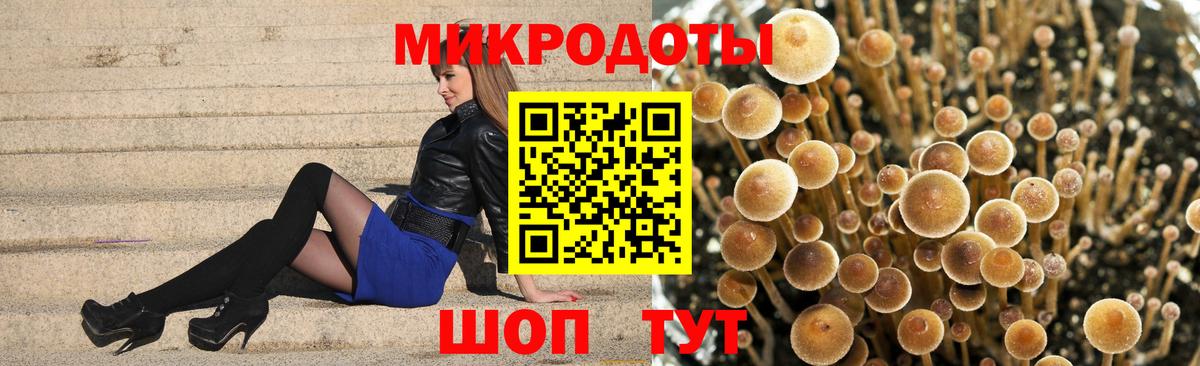Галлюциногенные грибы Cubensis  Вход с VPN  Галлюциногенные грибы MAGIC MUSHROOMS  Кисловодск 